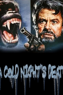 A Cold Night's Death