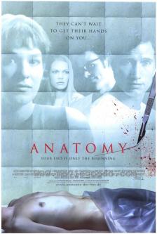 Anatomy