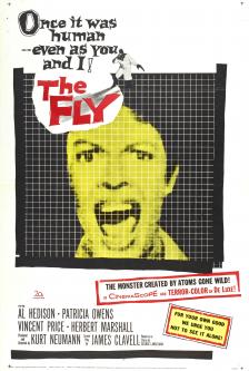 The Fly