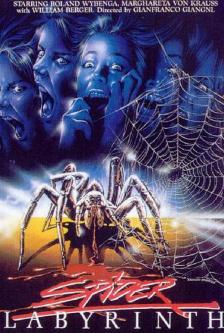 The Spider Labyrinth